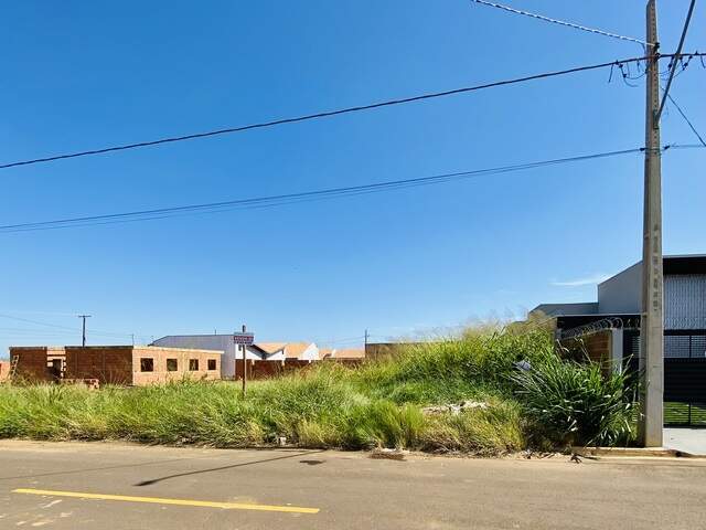 Vendo Terreno- Figuera do Parque R$125mil