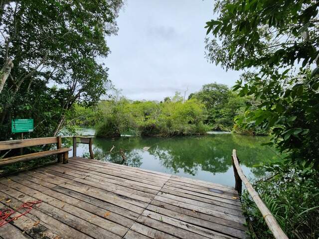 Lote 4ha Cond. Tr&ecirc;s Rios - Bonito, MS