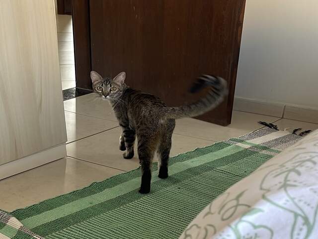 NOS AJUDE A TRAZER A JADE MARIA DE VOLTA PRA CASA!