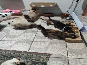 Pedido de ajuda com ra&ccedil;&atilde;o.