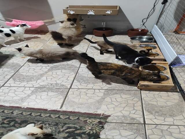 Pedido de ajuda com ra&ccedil;&atilde;o.