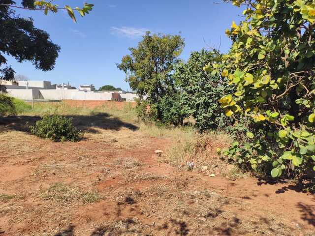 Terreno no Jardim Mansur