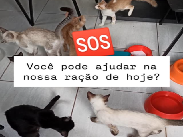 AJUDA URGENTE - MEDICAMENTO E RA&Ccedil;&Atilde;O PARA FILHOTE