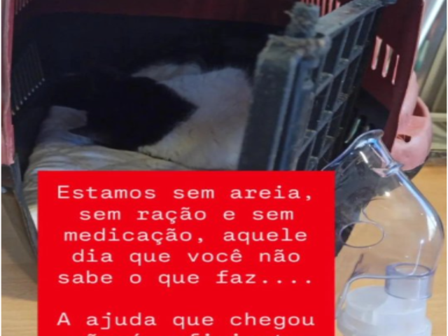 AJUDA URGENTE - MEDICAMENTO E RA&Ccedil;&Atilde;O PARA FILHOTE