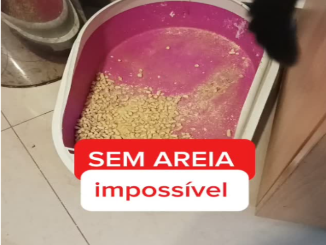 AJUDA URGENTE - MEDICAMENTO E RA&Ccedil;&Atilde;O PARA FILHOTE