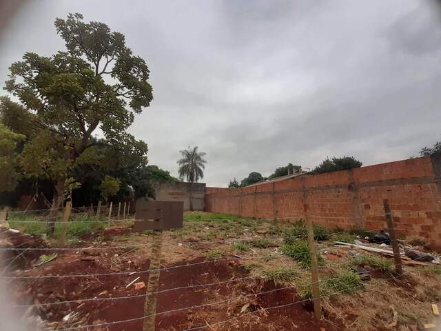 Terreno 10x25 (250m&sup2;) com Documenta&ccedil;&atilde;o OK - Jardim Carioca (Nova Campo Grande)