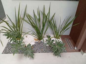 vendo casa no Rita Vieira I com jardim de inverno 