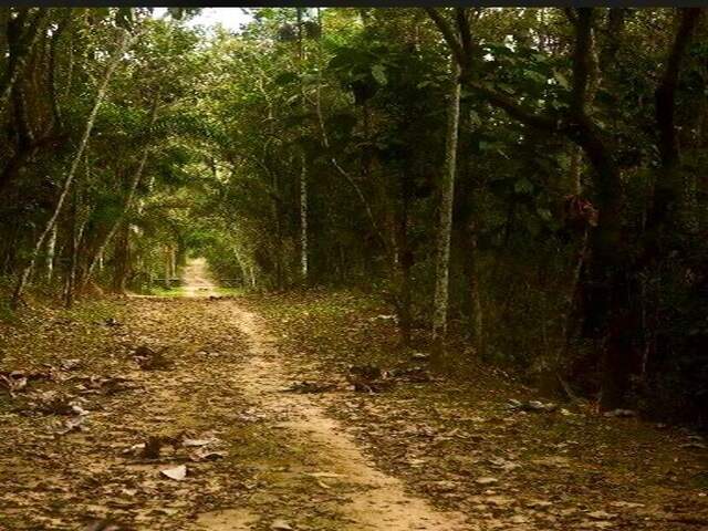 Terreno no Condom&iacute;nio dos Sonhos
