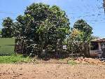 Terreno pr&oacute;ximo a futura via acesso &agrave;s Moreninhas - (67) 99292-9002