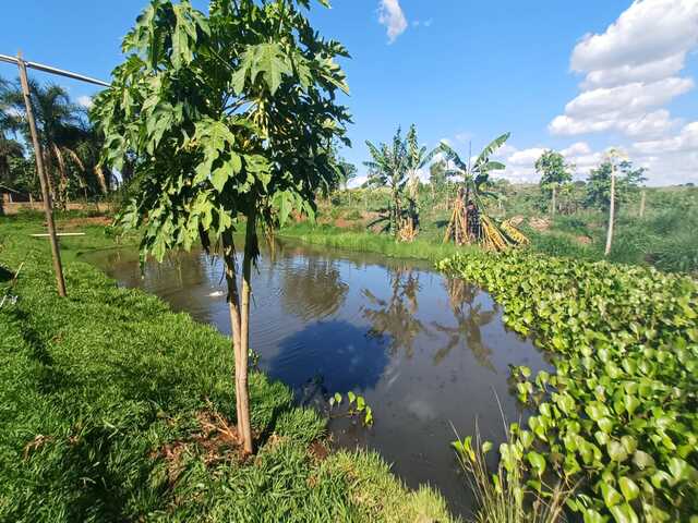 lindo sitio, proximo de campo grande 