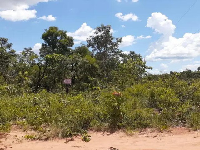 vendo 1 hectare no atl&acirc;ntico 