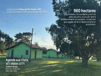 Fazenda Estruturada à Venda – Alto Potencial Produtivo