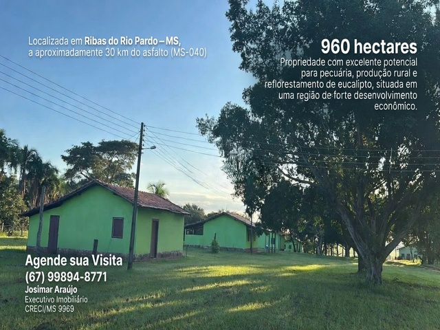 Fazenda Estruturada &agrave; Venda &ndash; Alto Potencial Produtivo