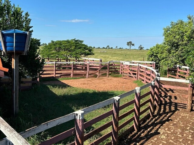 Fazenda Estruturada &agrave; Venda &ndash; Alto Potencial Produtivo