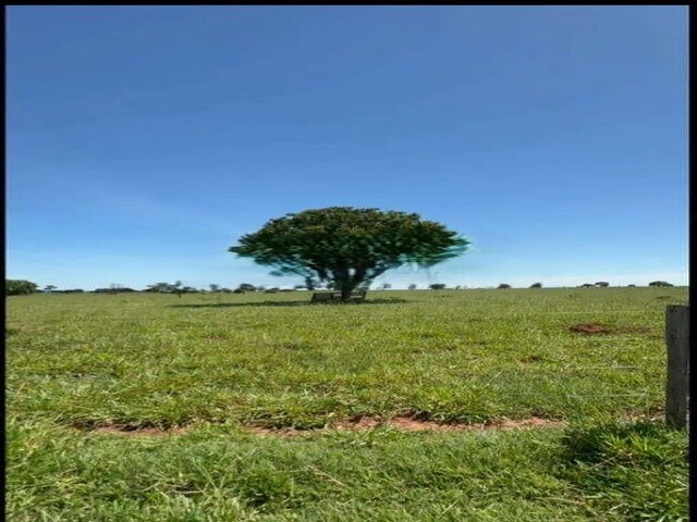 Oportunidade Rural – Área Formada para Pecuária