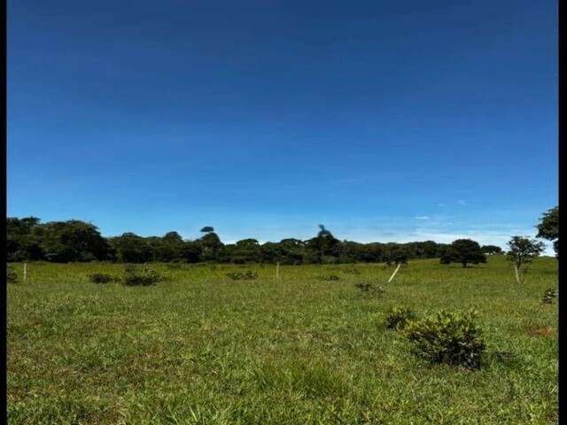 Oportunidade Rural – Área Formada para Pecuária