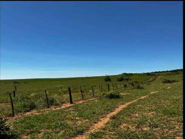 Oportunidade Rural – Área Formada para Pecuária