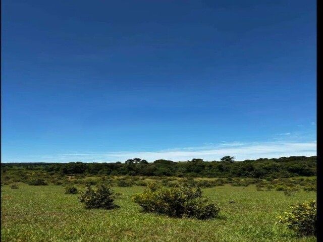 Oportunidade Rural – Área Formada para Pecuária