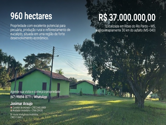 Fazenda Estruturada à Venda – Alto Potencial Produtivo