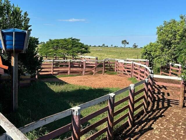 Fazenda Estruturada &agrave; Venda &ndash; Alto Potencial Produtivo