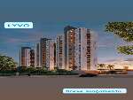 lyvo 