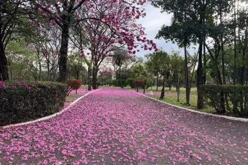 Vendo Jazigo Perpétuo - Cemitério Parque das Primaveras (Campo Grande/MS)