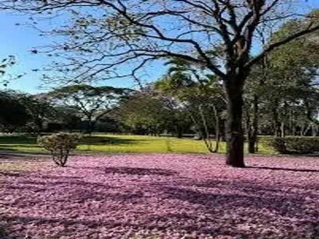 Vendo Jazigo Perpétuo - Cemitério Parque das Primaveras (Campo Grande/MS)