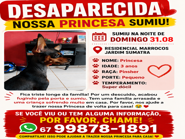 Cadelinha Desaparecida