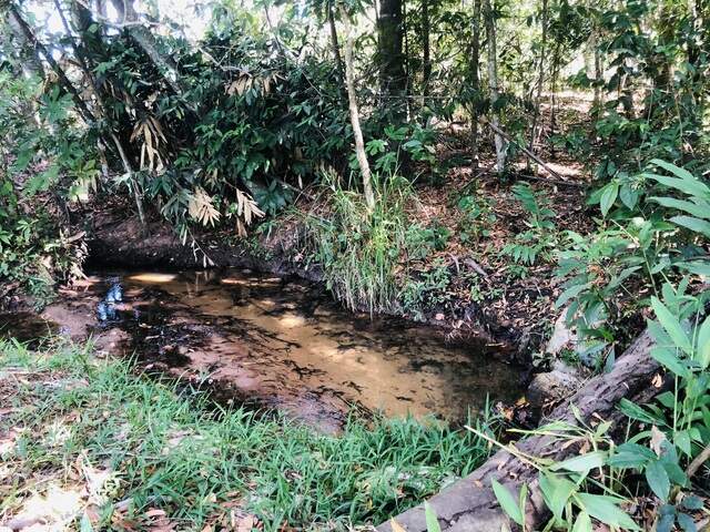 Vendo Chacara Sitio - dentro de Campo Grande
