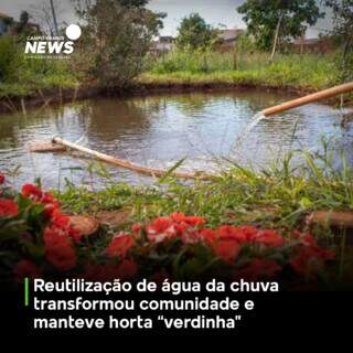 Veja mais em https://www.campograndenews.com.br/meio-ambiente/reutilizacao-de-agua-da-chuva-transformou-comunidade-e-manteve-horta-verdinha