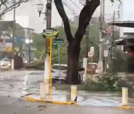 Temporal em Dourados derruba árvores