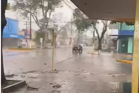 Temporal atinge Dourados e derruba árvores