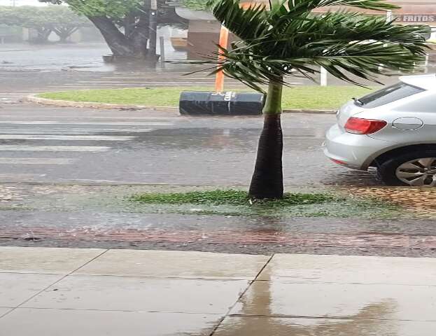 Ventania e chuva forte na avenida Guaicurus