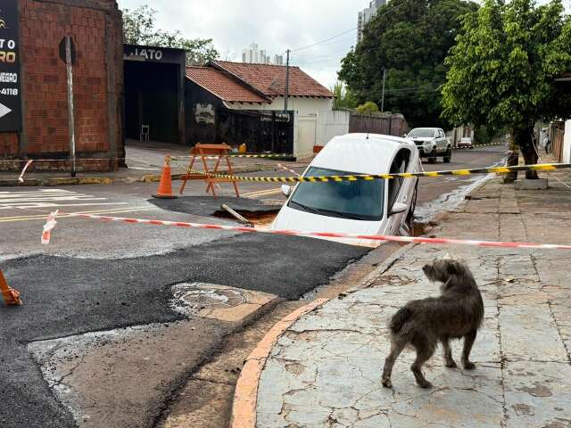 Carro amarrado com árvore na Vila Margarida