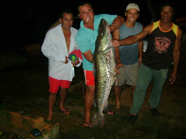  Grupo de pescadores captura pintado de 40 kg em Coxim