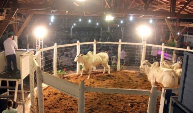 Feira Agropecu&aacute;ria do Pantanal come&ccedil;a dia 27 com leil&atilde;o de 300 animais 