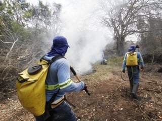 Combate a incêndio na Reserva Particular do Patrimônio Natural foi feita com equipes de brigadistas especializados do Corpo de Bombeiros, do Ibama (Foto: Reprodução)