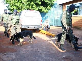 Cães também estão sendo usados na operação. (Foto: Kisie Ainoã)