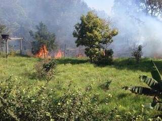 Fogo se alastra rapidamente em vegetação do Bairro Rita Vieira. (Foto: Maiara Shiroma - Direto das Ruas)