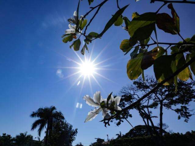 Inmet prevê chegada de nova frente fria a partir de sexta em MS