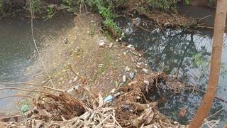 Lixo tomou conta do leito do Córrego Lagoa. (Foto: Direto das Ruas)