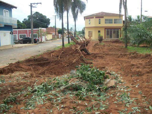  Vereadores de Rochedo denunciam derrubada de &aacute;rvores em pra&ccedil;a