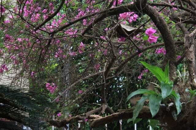 Casa de madeira mant&eacute;m porteiras abertas como uma fazenda no S&atilde;o Francisco