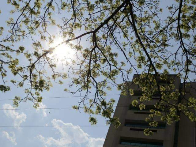 Com sensa&ccedil;&atilde;o t&eacute;rmica de at&eacute; 45&ordm;C em 3 cidades, andar na rua &ldquo;&eacute; imposs&iacute;vel&rdquo;