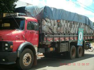 Caminhão transportava 33 m³ de carvão sem documento de autorização. (Foto: Divulgação/PMA)