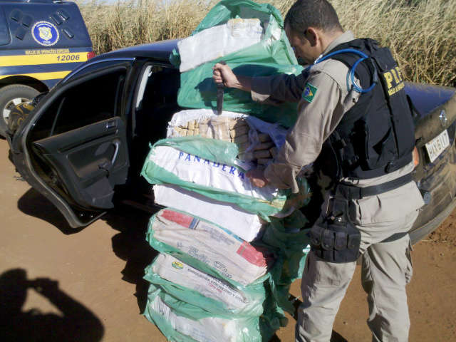  PRF apreende 254 quilos de maconha que seria levada para Campinas