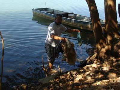  Pescadores de Tr&ecirc;s Lagoas fazem mutir&atilde;o de limpeza na margem do rio Paran&aacute;