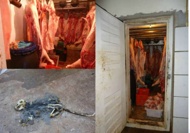  Pol&iacute;cia fecha a&ccedil;ougue clandestino e dep&oacute;sito de carnes em Dourados