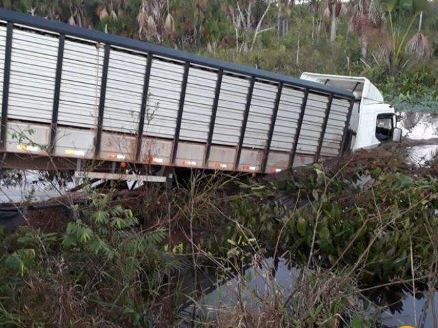 Motorista passa mal e &ldquo;mergulha&rdquo; caminh&atilde;o boiadeiro em lagoa em BR