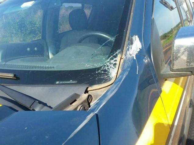 Viatura da PRF &eacute; atingida por tora de eucalipto que caiu de carreta